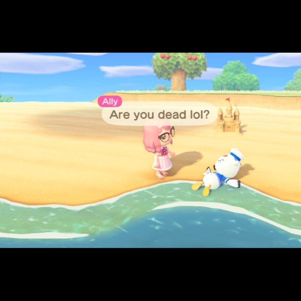 Meet your Posher, Paige